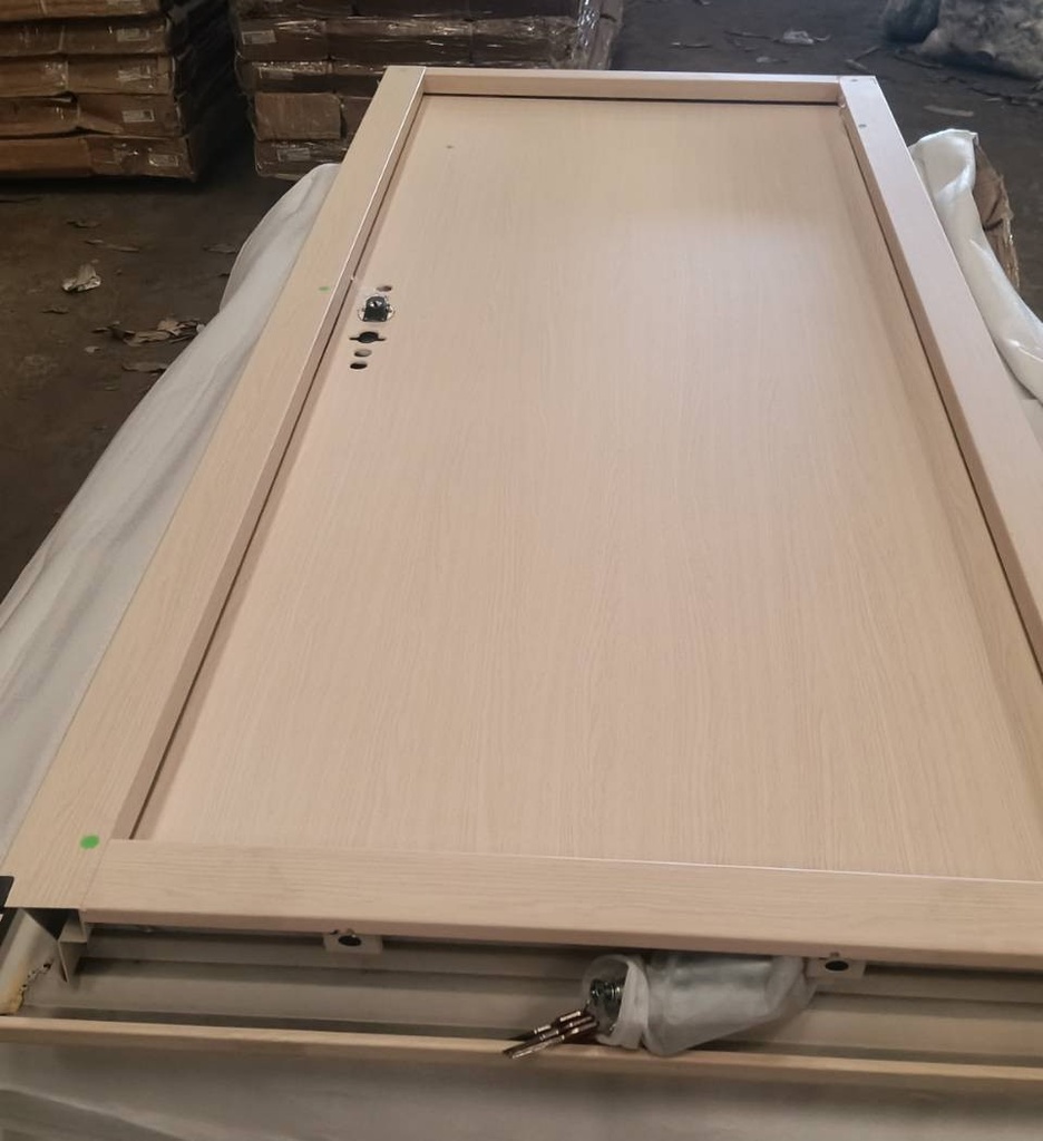 Ferrum ประตูเหล็กบานเดี่ยว ขนาด 80x200 ซม.