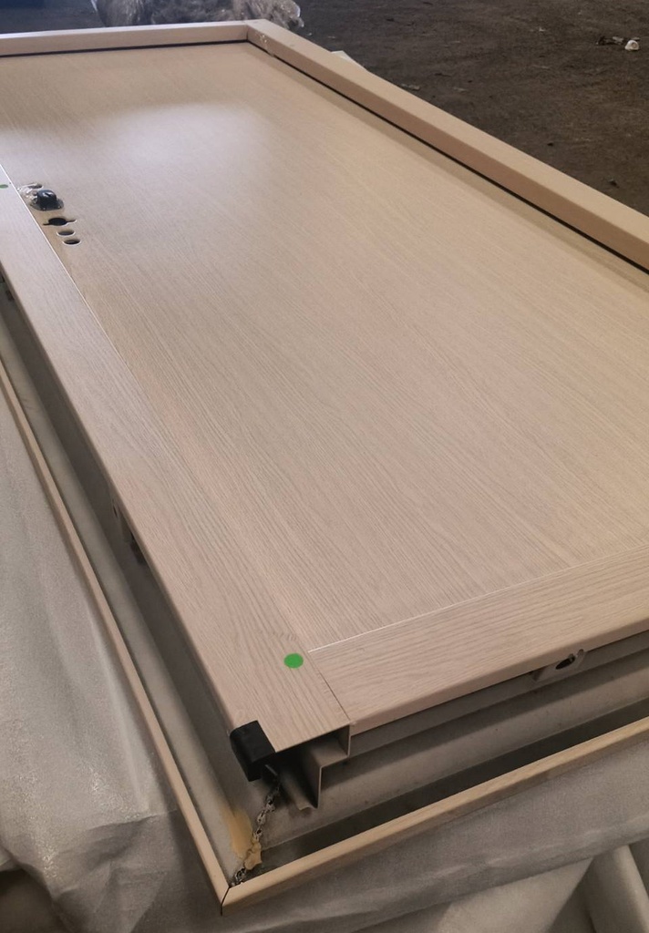 Ferrum ประตูเหล็กบานเดี่ยว ขนาด 80x200 ซม.