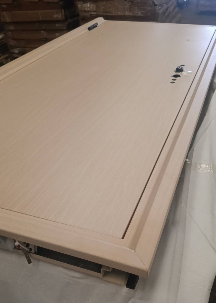 Ferrum ประตูเหล็กบานเดี่ยว ขนาด 80x200 ซม.