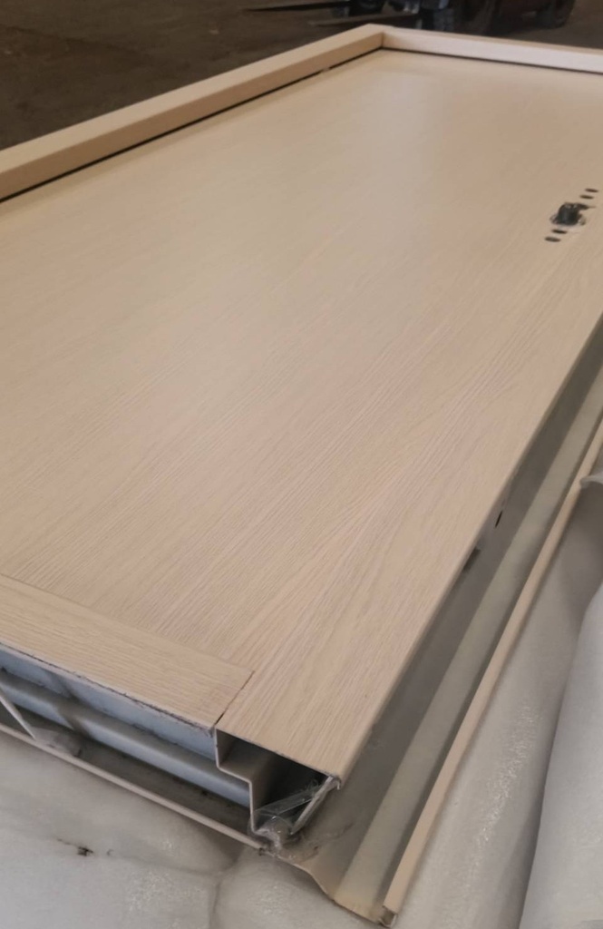 Ferrum ประตูเหล็กบานเดี่ยว ขนาด 80x200 ซม.