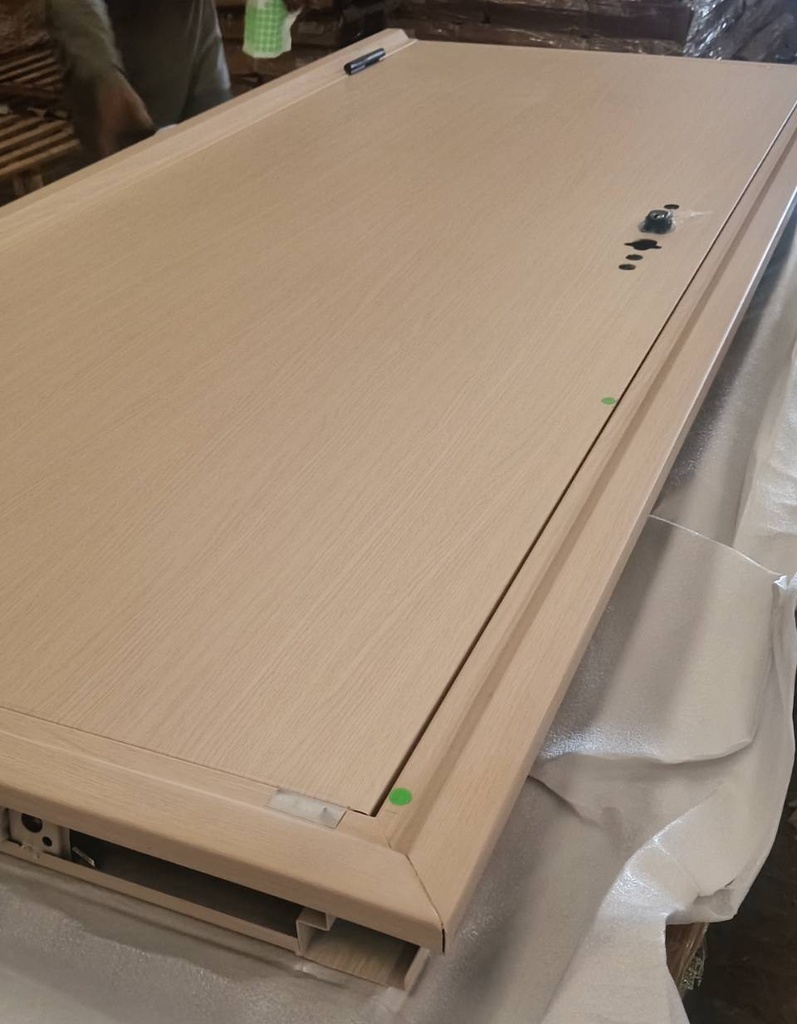 Ferrum ประตูเหล็กบานเดี่ยว ขนาด 80x200 ซม.