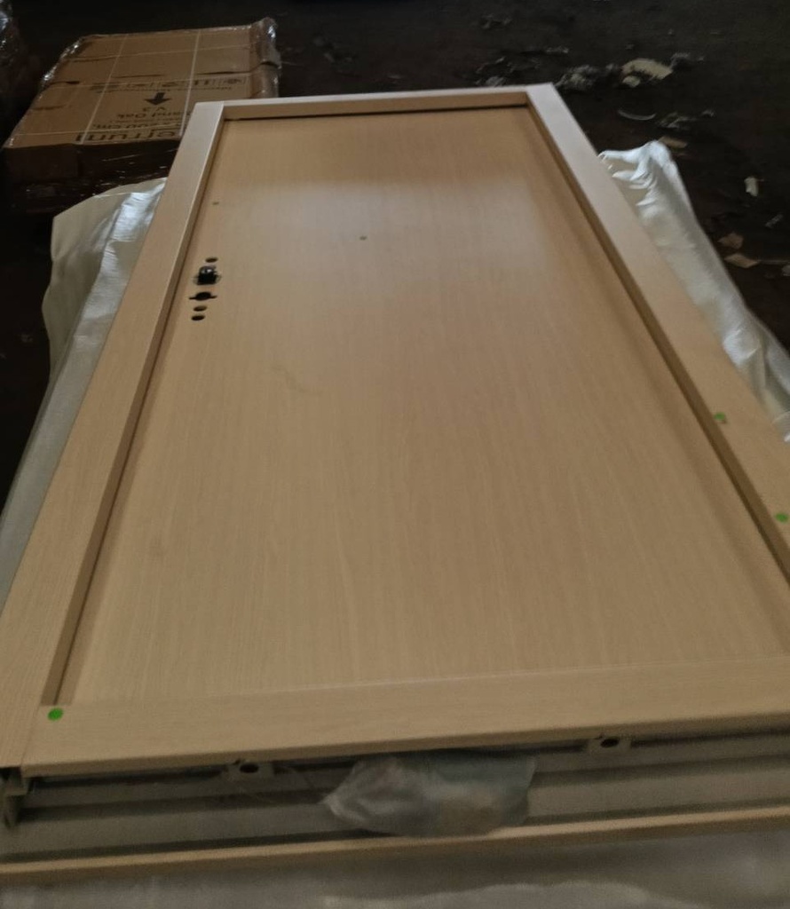 Ferrum ประตูเหล็กบานเดี่ยว ขนาด 80x200 ซม.