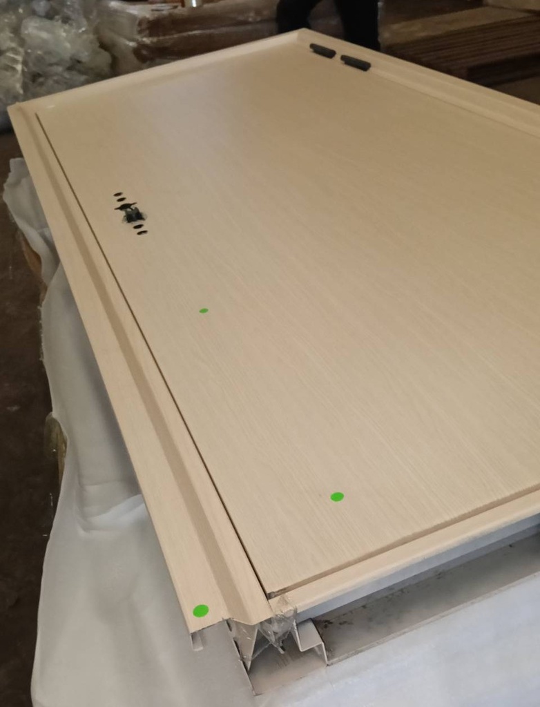 Ferrum ประตูเหล็กบานเดี่ยว ขนาด 80x200 ซม.