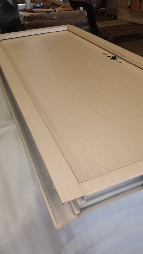 Ferrum ประตูเหล็กบานเดี่ยว ขนาด 80x200 ซม.