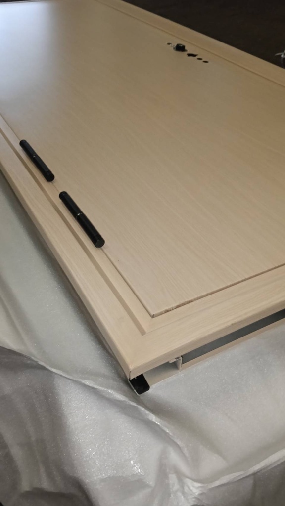 Ferrum ประตูเหล็กบานเดี่ยว ขนาด 80x200 ซม.