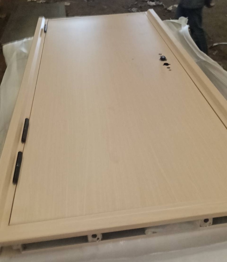Ferrum ประตูเหล็กบานเดี่ยว ขนาด 80x200 ซม.