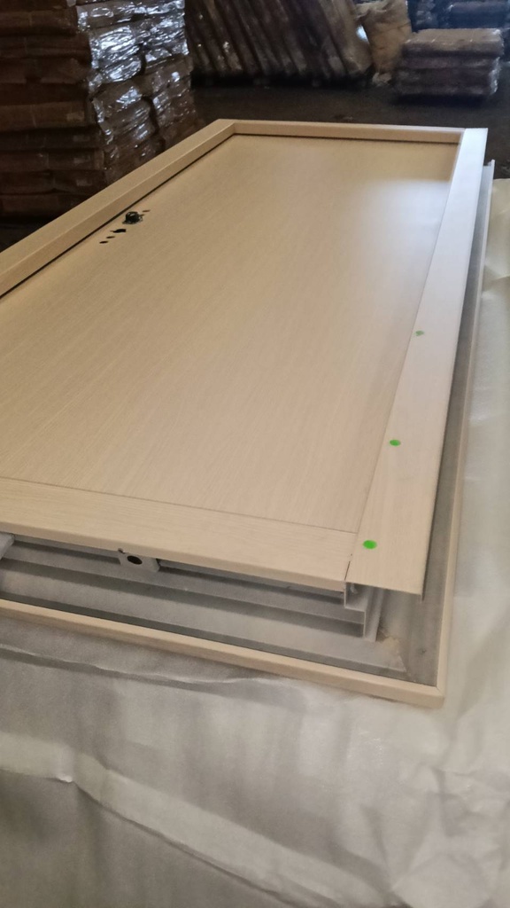 Ferrum ประตูเหล็กบานเดี่ยว ขนาด 80x200 ซม.