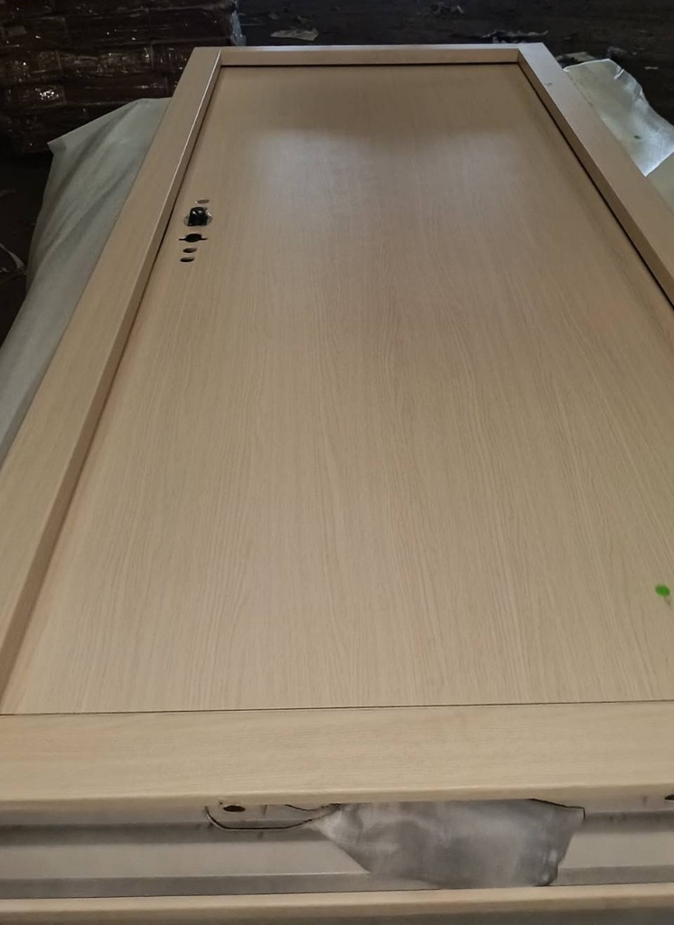Ferrum ประตูเหล็กบานเดี่ยว ขนาด 80x200 ซม.