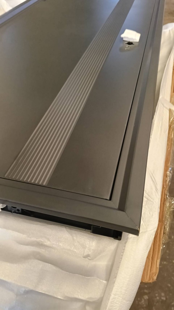 Ferrum ประตูเหล็กบานเดี่ยว ขนาด 80x200 ซม. DG04-806