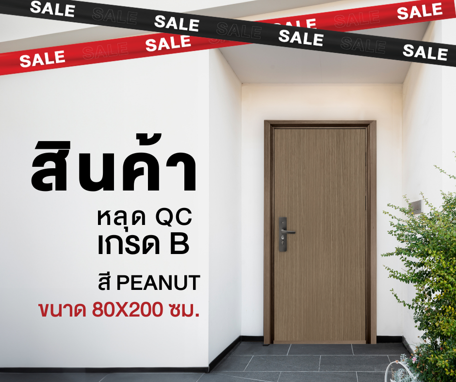 Ferrum ประตูเหล็กบานเดี่ยว ขนาด 80x200 ซม. PN01-806