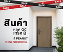 Ferrum ประตูเหล็กบานเดี่ยว ขนาด 80x200 ซม. PN01-806