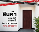 Ferrum ประตูเหล็กบานเดี่ยว ขนาด 80x200 ซม. BC02-806
